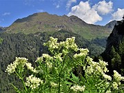 Baite di Mezzeno-Lago Branchino, festa di fiori-16giu23 - FOTOGALLERY